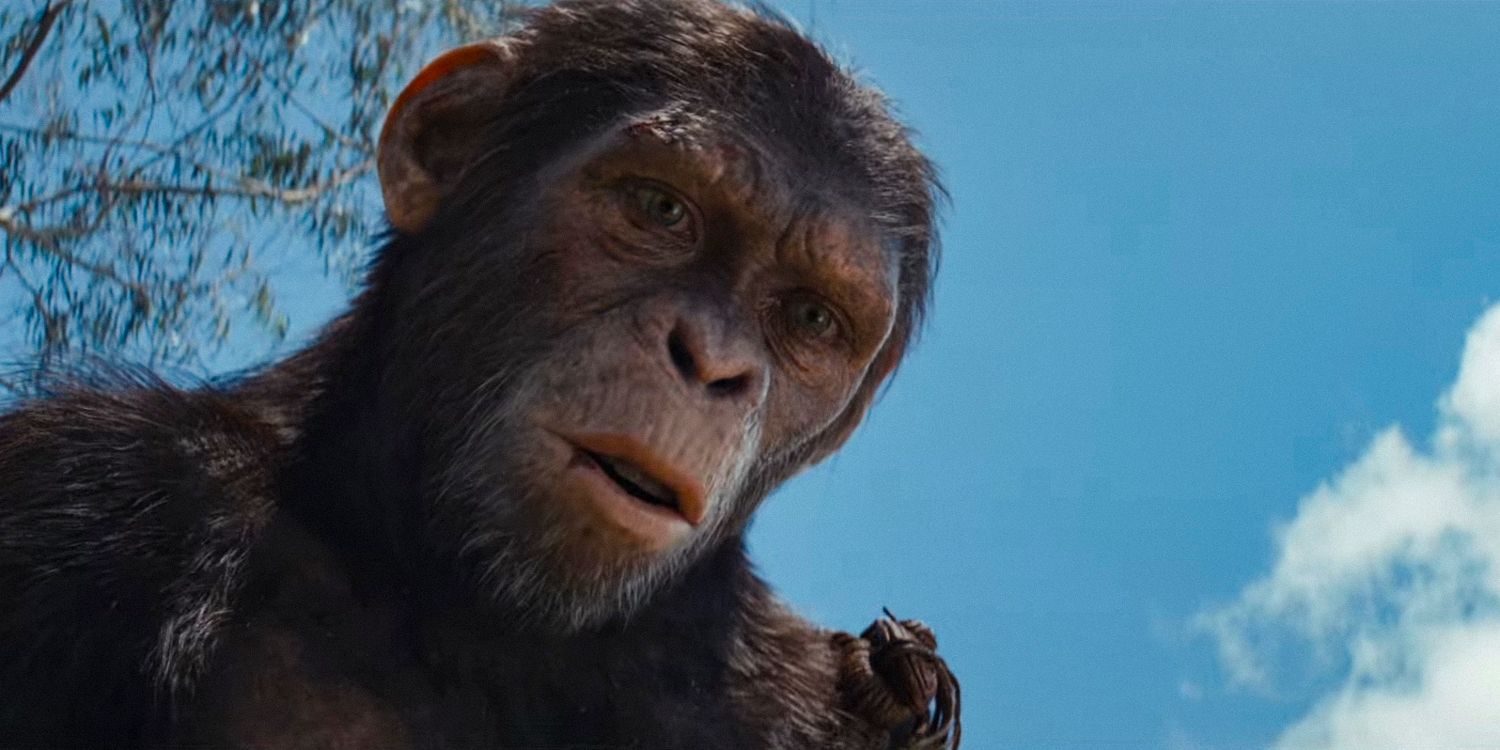 Why Kingdom Of The Planet Of The Apes' Rotten Tomatoes Score Can't Compete With The Last 2 Movies