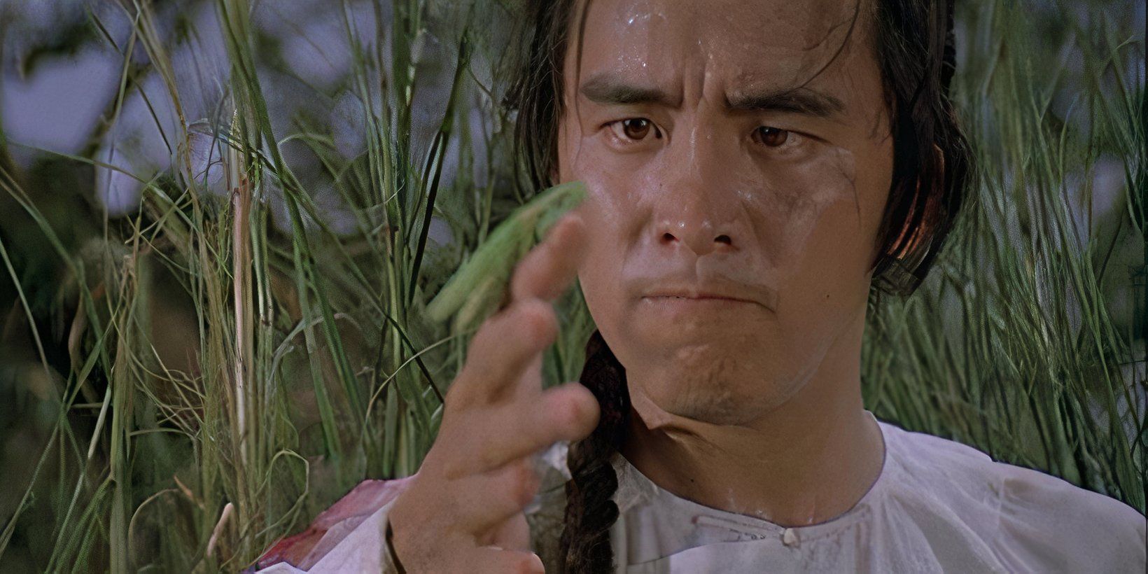 Gordon Liu's 10 Best Kung Fu Movies, Ranked