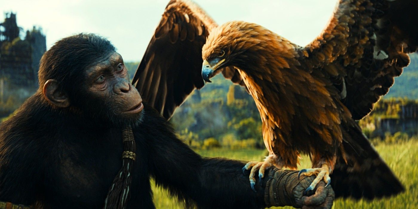 Does Kingdom Of The Planet Of The Apes Have A Post-Credits Scene?