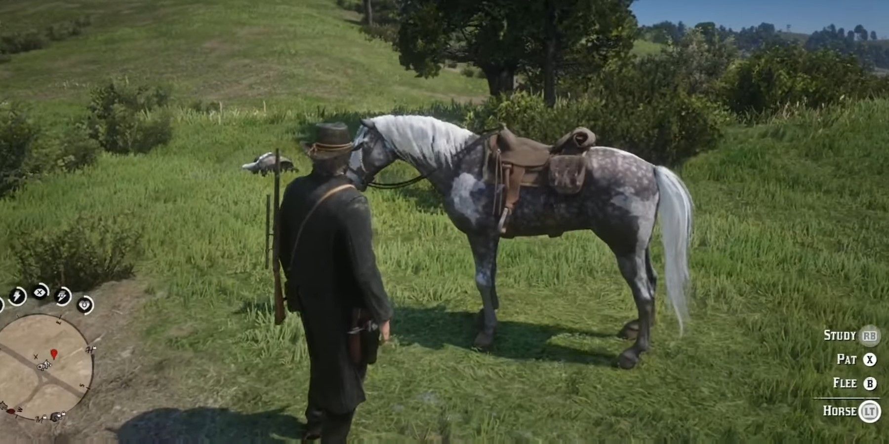 How To Get A Missouri Fox Trotter Horse In RDR2