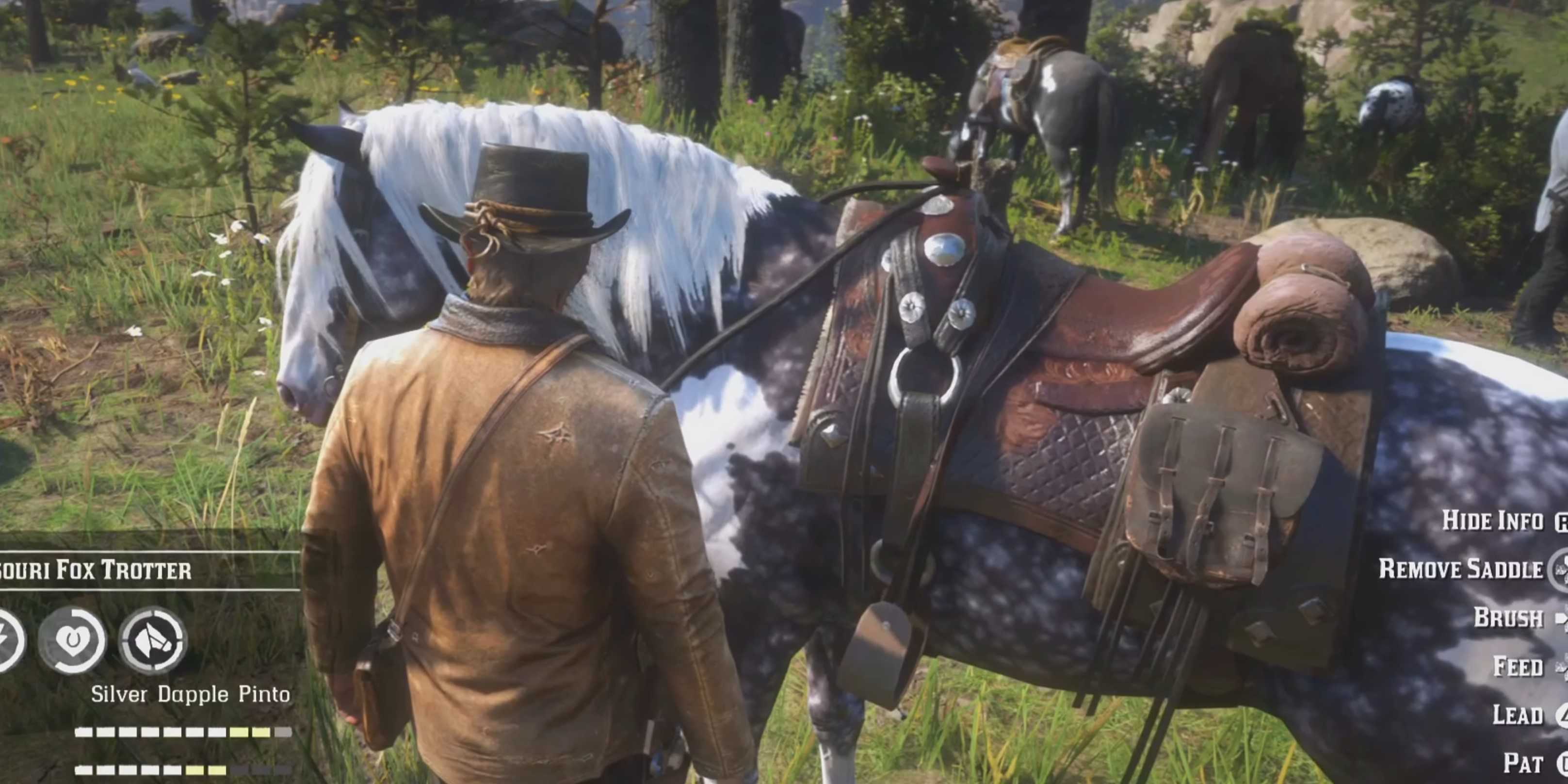 Fox Trotter Rdr2 How To Get A Missouri Fox Trotter Horse In RDR2