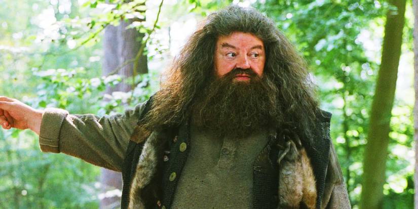 Nick Frost Discusses His Hagrid Transformation For HBO's Harry Potter ...