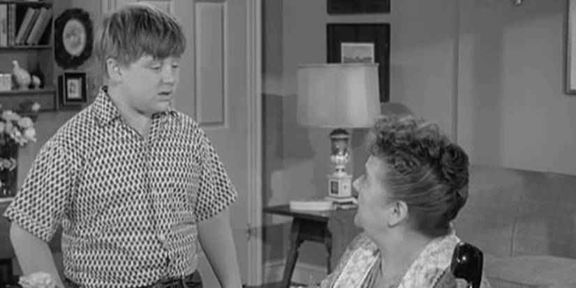 Larry talking to his mom in Leave it to Beaver.
