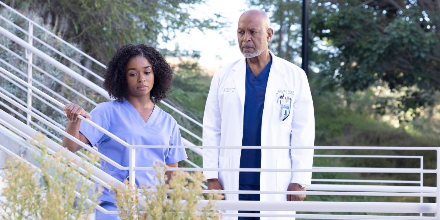 Grey's Anatomy Losing Its Best Meredith Replacement Is A Big Problem For Season 21