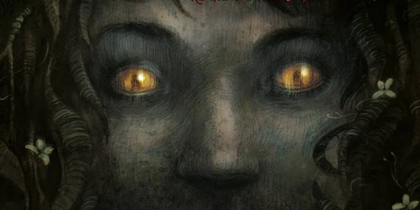 Sleeping beauties cover art