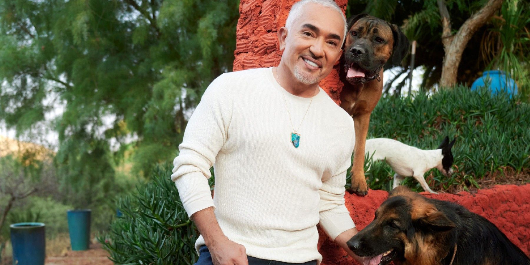 What Happened To Cesar Millan After His Show Dog Whisperer Ended?