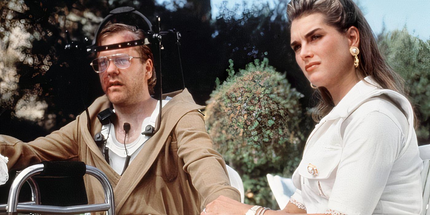 Brooke Shields' 10 Best Movies & TV Shows, Ranked