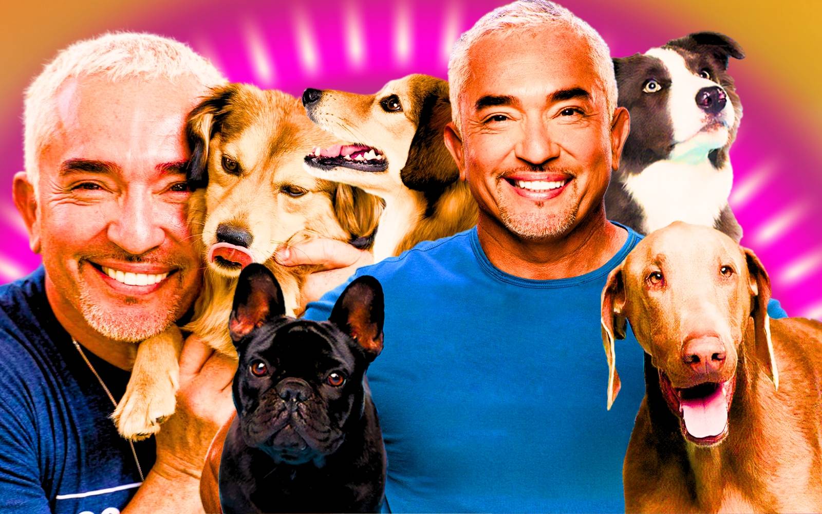 What Happened To Cesar Millan After His Show Dog Whisperer Ended?