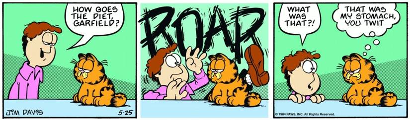 10 Funniest Garfield Comics That Just Turned 40 (In May 2024)