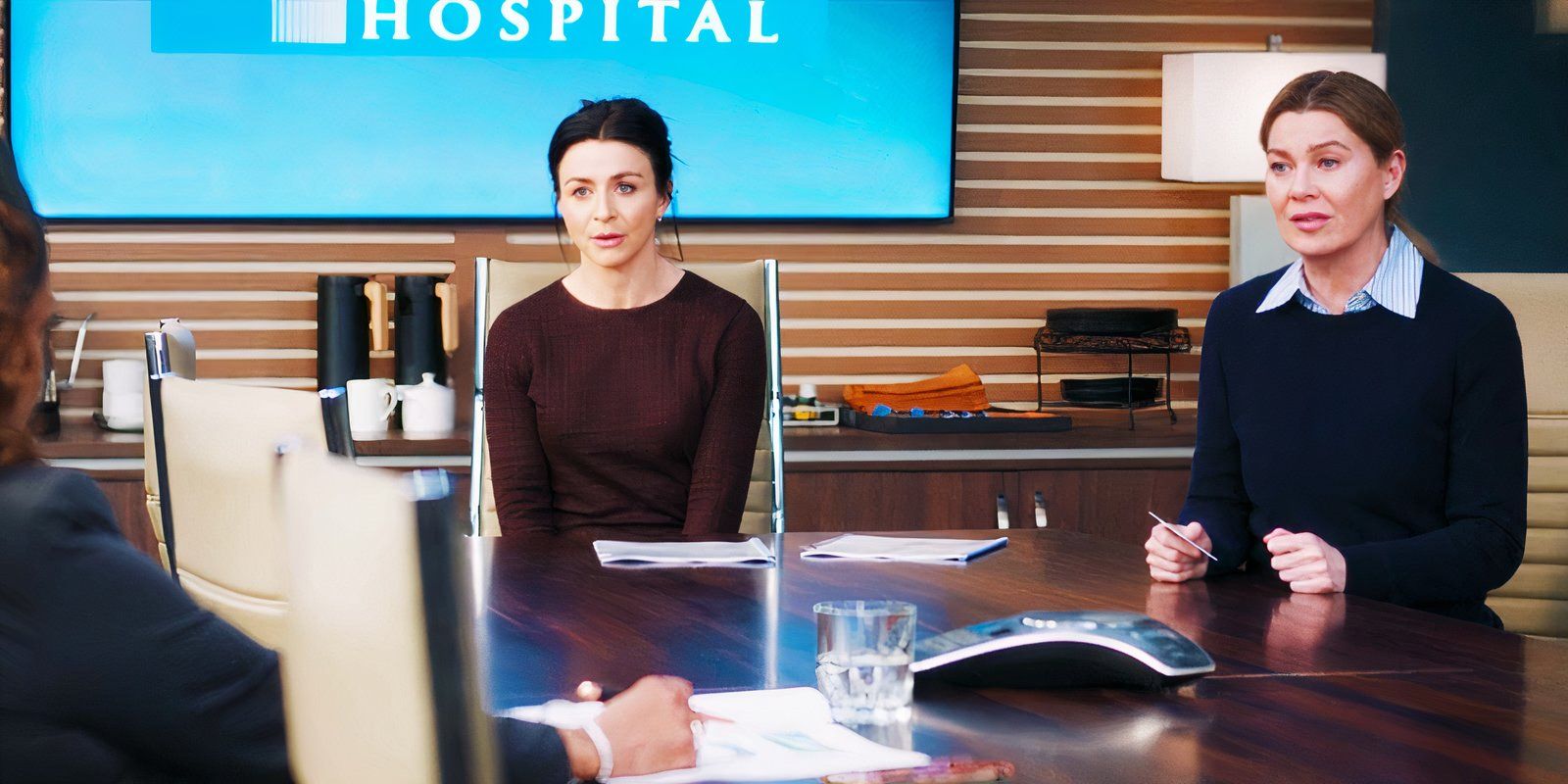 Grey's Anatomy Season 21's Amelia Story Honored 1 Of Derek Shepherd's Best Case From 15 Years Ago