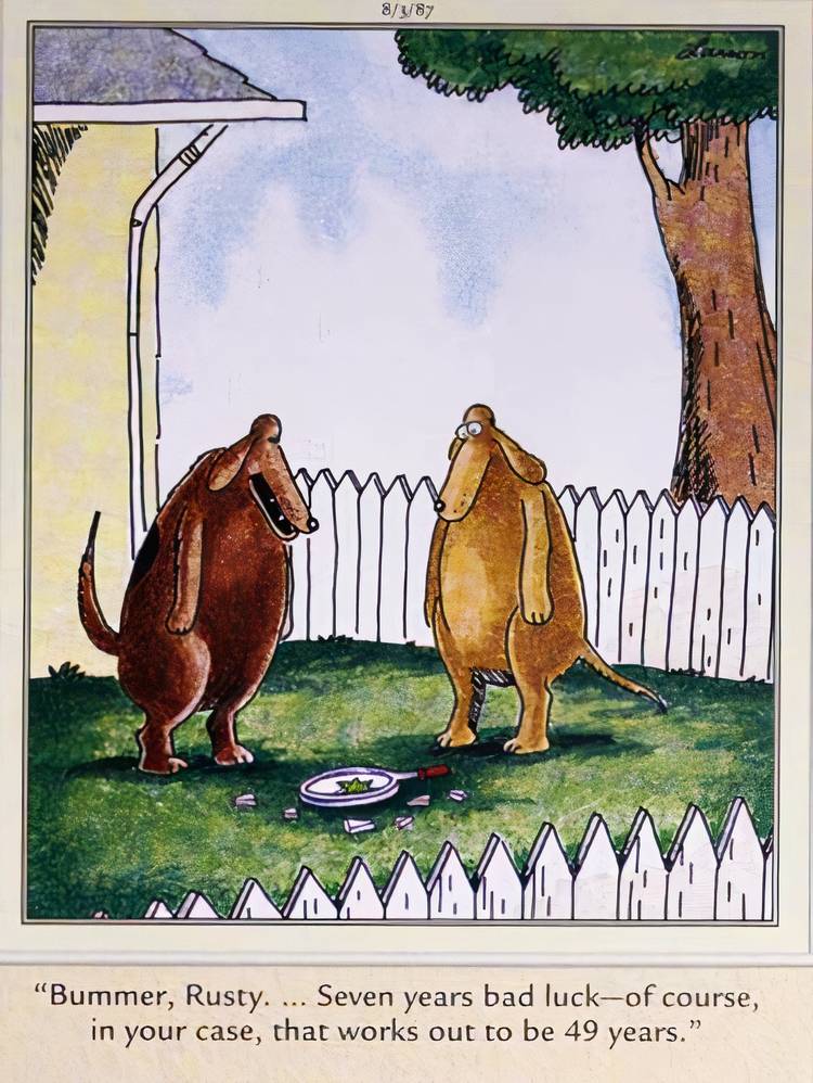 Far Side, a dog breaks a mirror and consequently gets 49 dog years bad luck