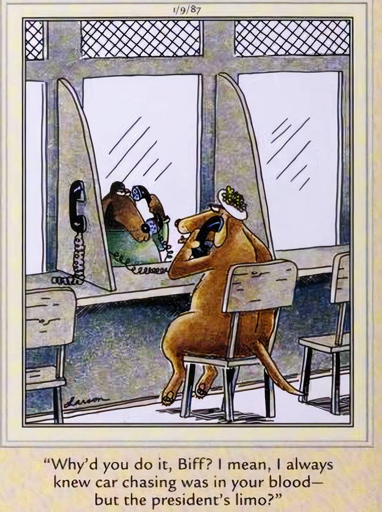 Gary Larson's 20 Funniest Far Side Comics About Dogs