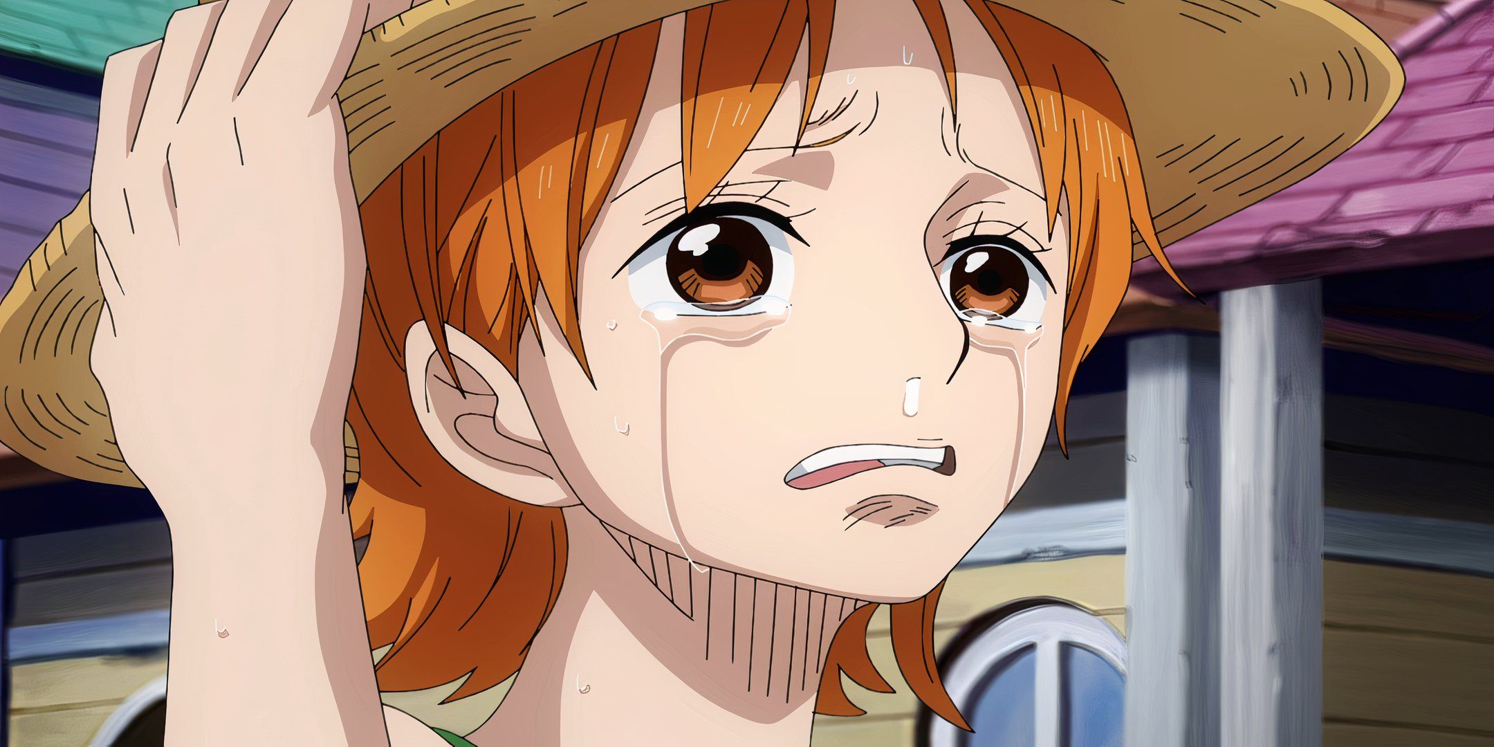 One Piece Movies, TV Specials to Leave Netflix in September 2025