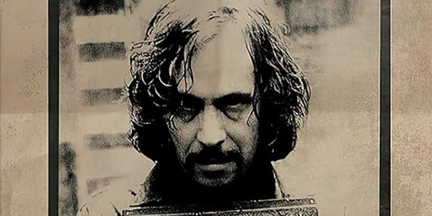sirius-prisioner-of-azkaban How Old The Harry Potter Cast Was Compared To Their Characters