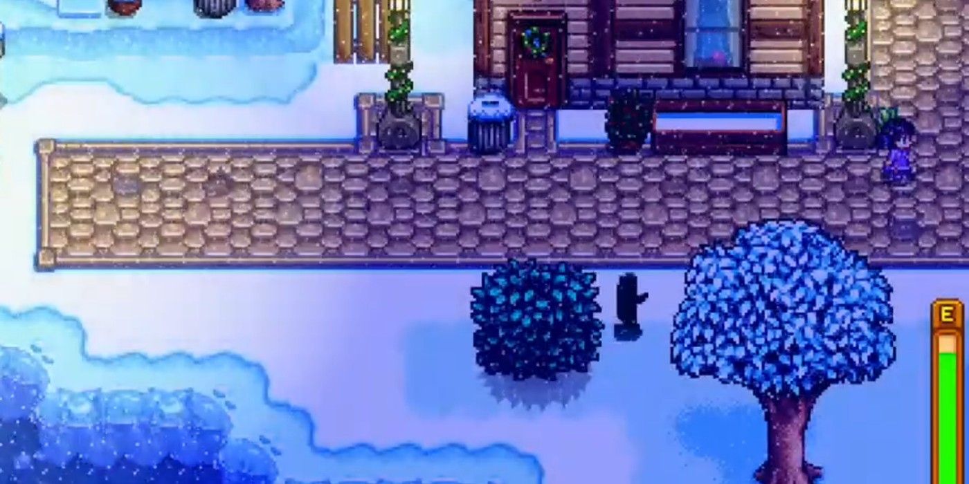 What The Strange Capsule In Stardew Valley Is For