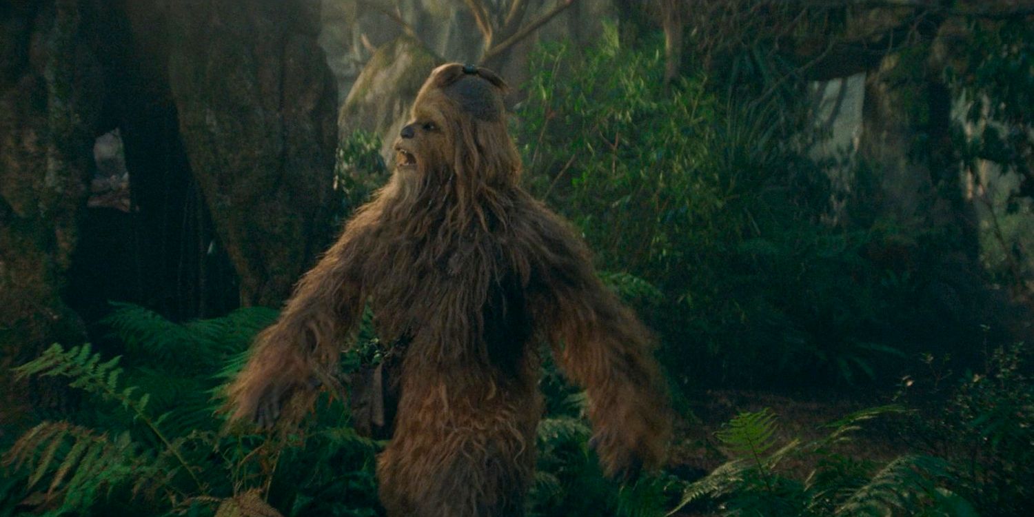 Star Wars: The Acolyte's Wookiee Jedi Explained: Who Is Kelnacca?