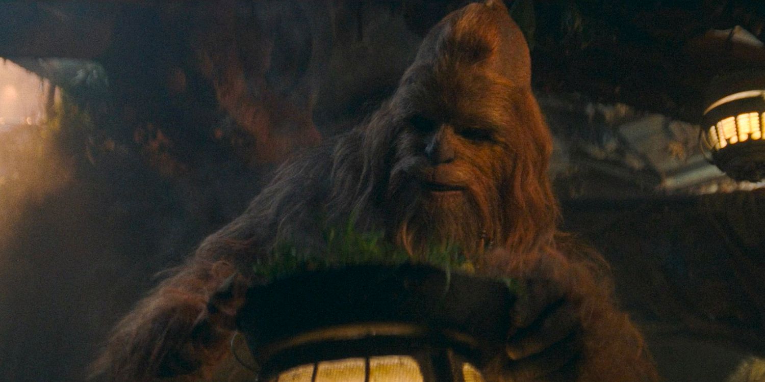 Star Wars: The Acolyte's Wookiee Jedi Explained: Who Is Kelnacca?