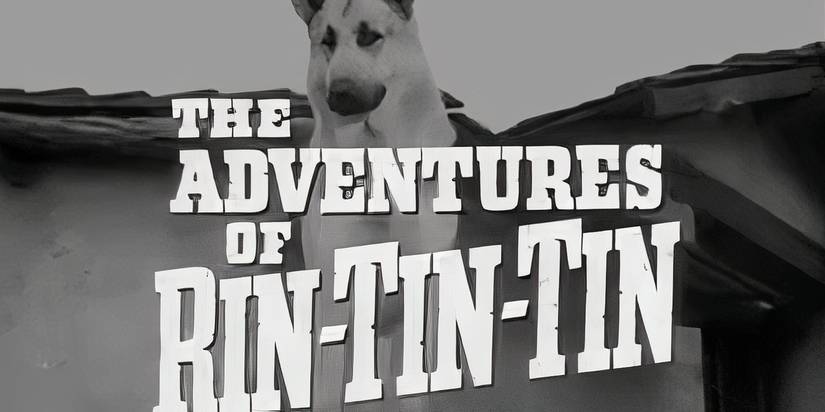 The 15 Longest-Running Western TV Shows Of All Time