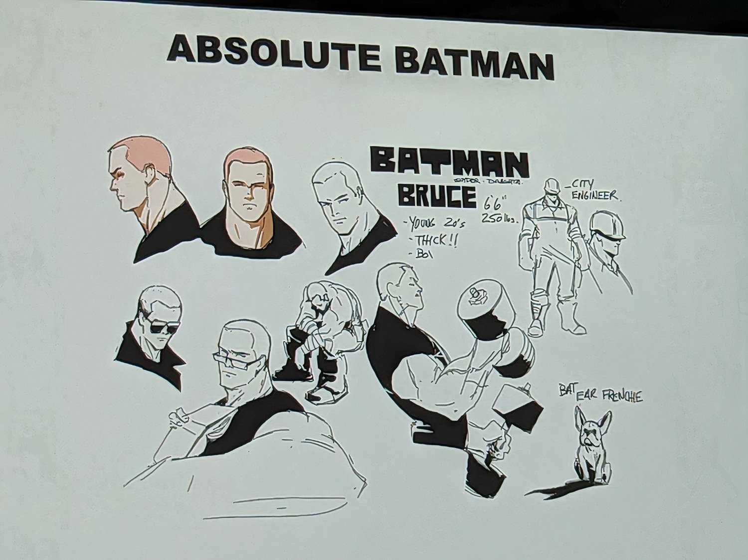 Batomon Ranks Absolute Batman: Bruce Wayne's Official Size, Secret Identity, and ...