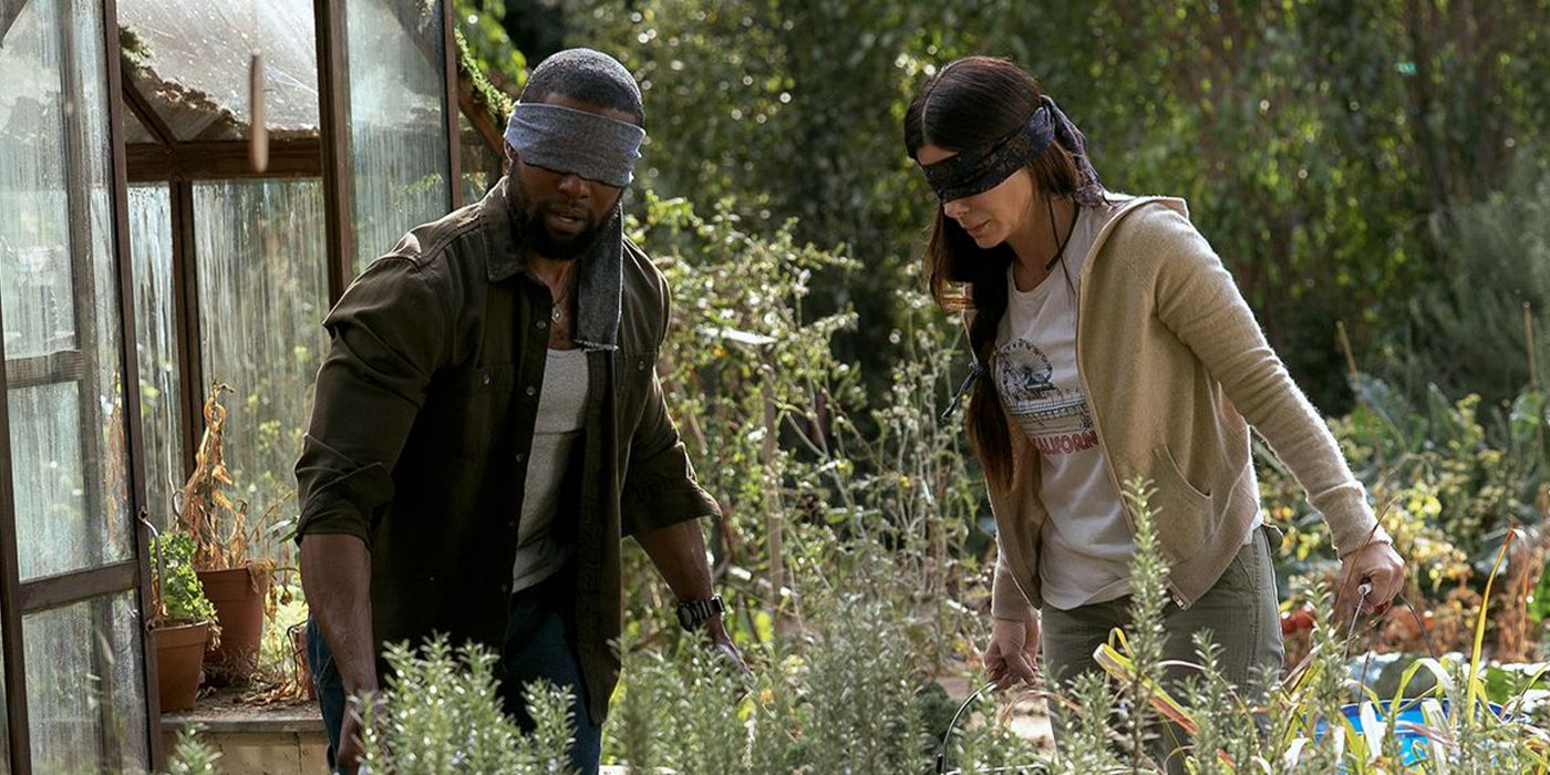 Bird Box: 20 Weird Details You Never Knew About The Creature