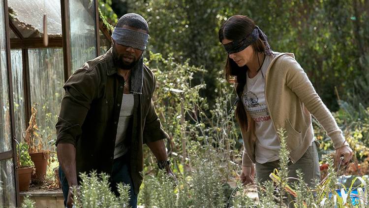 Where was Bird Box Filmed Forest: Stunning Locations Revealed
