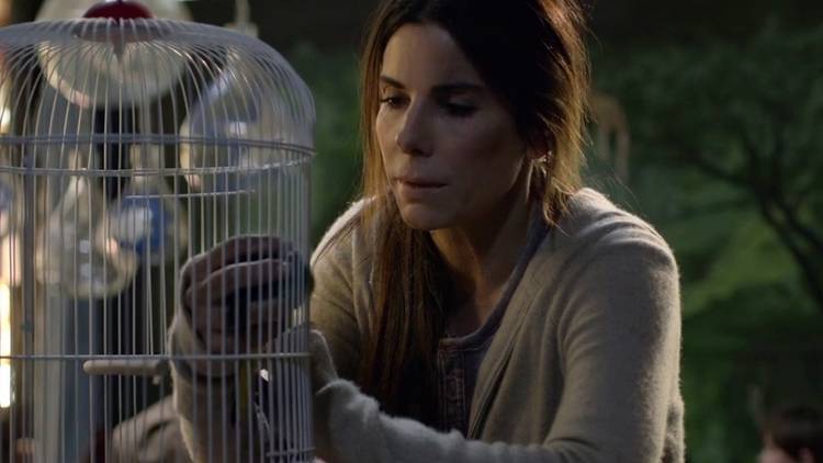Should I Watch Bird Box Alone? Shocking Truths Revealed!