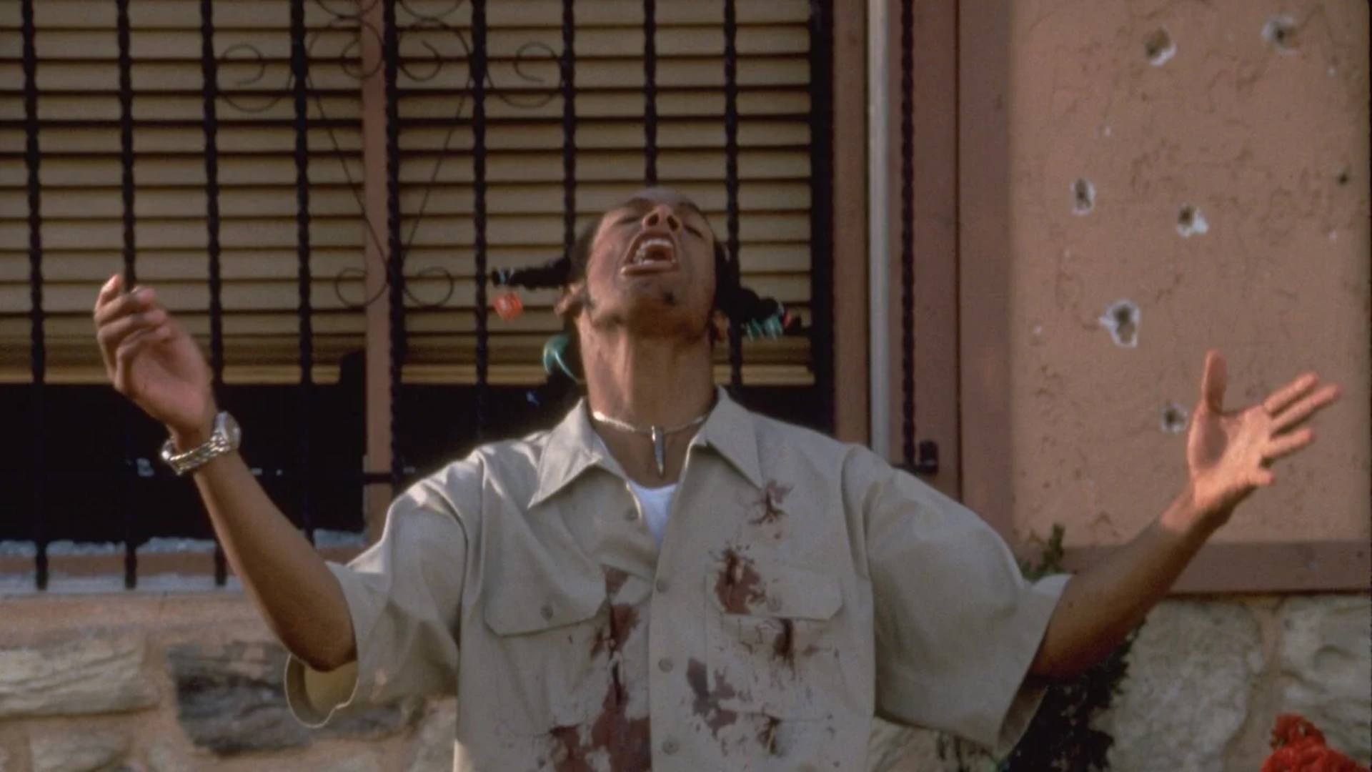 Loc Dog em Don't Be a Menace to South Central While Drinking Your Juice in the Hood