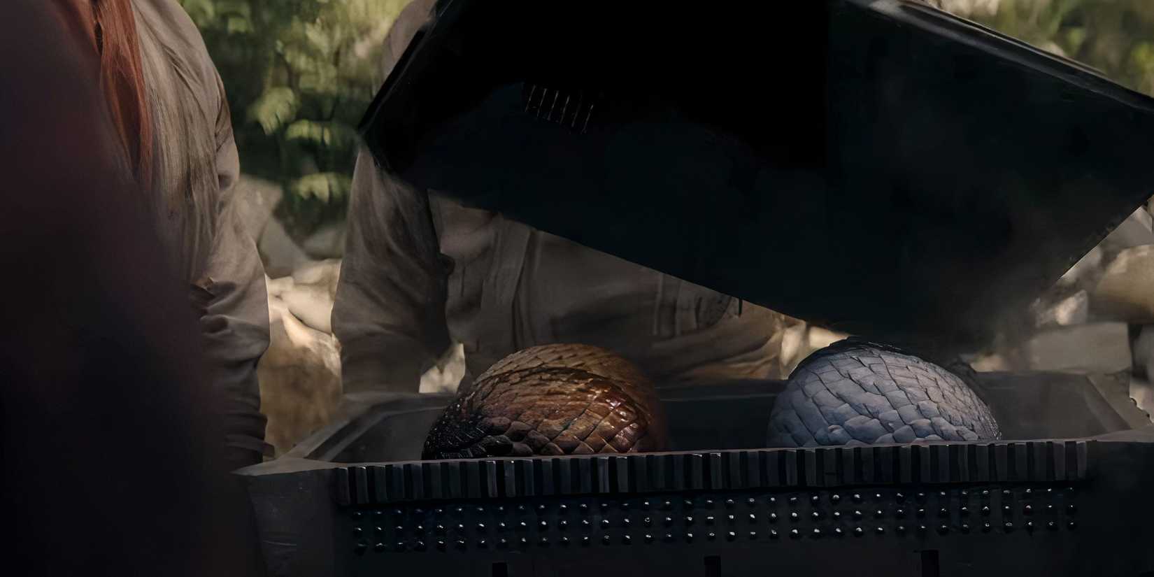 Dragon eggs in a box in House of the Dragon season 2, episode 3