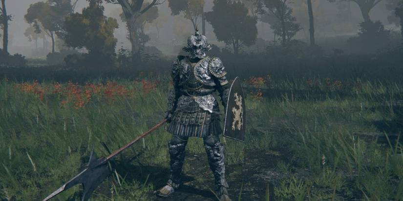 Vagabond build in Elden Ring.