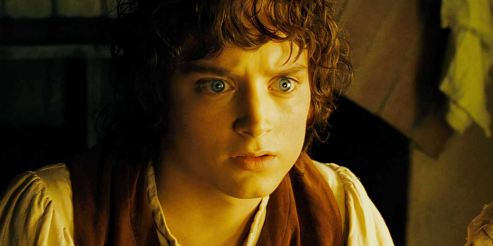 Frodo Looking Back How Long Did Frodo Have The One Ring In The Lord Of The Rings? The ...
