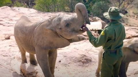 Escape from Extinction Summary, Trailer, Cast, Where to Watch and More