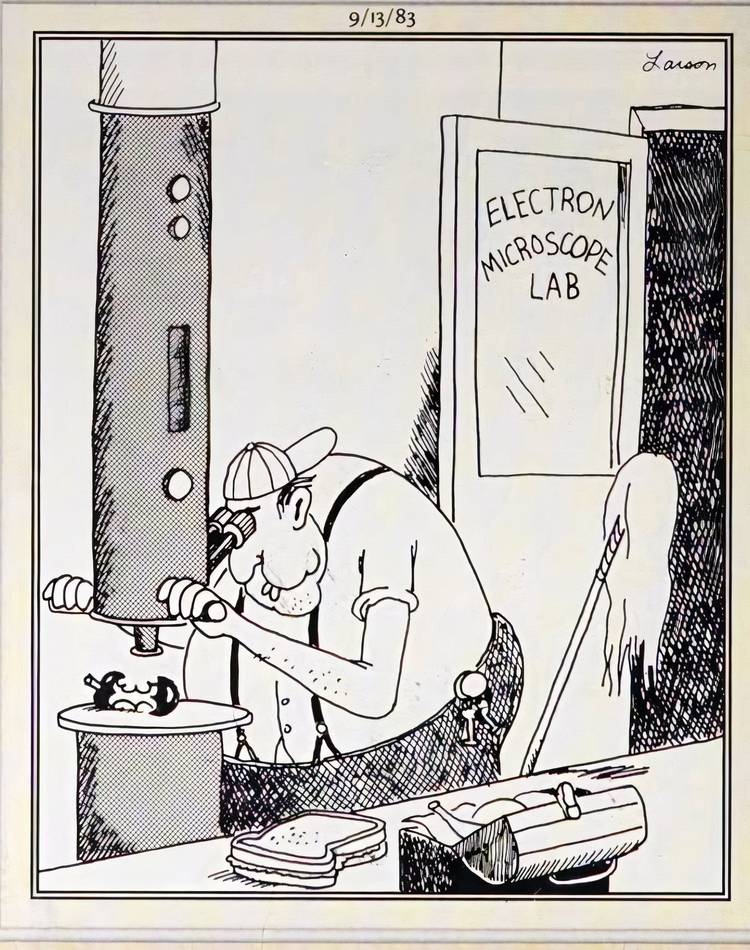 10 Hilarious Far Side Comics That Made You the Joke Without You Noticing