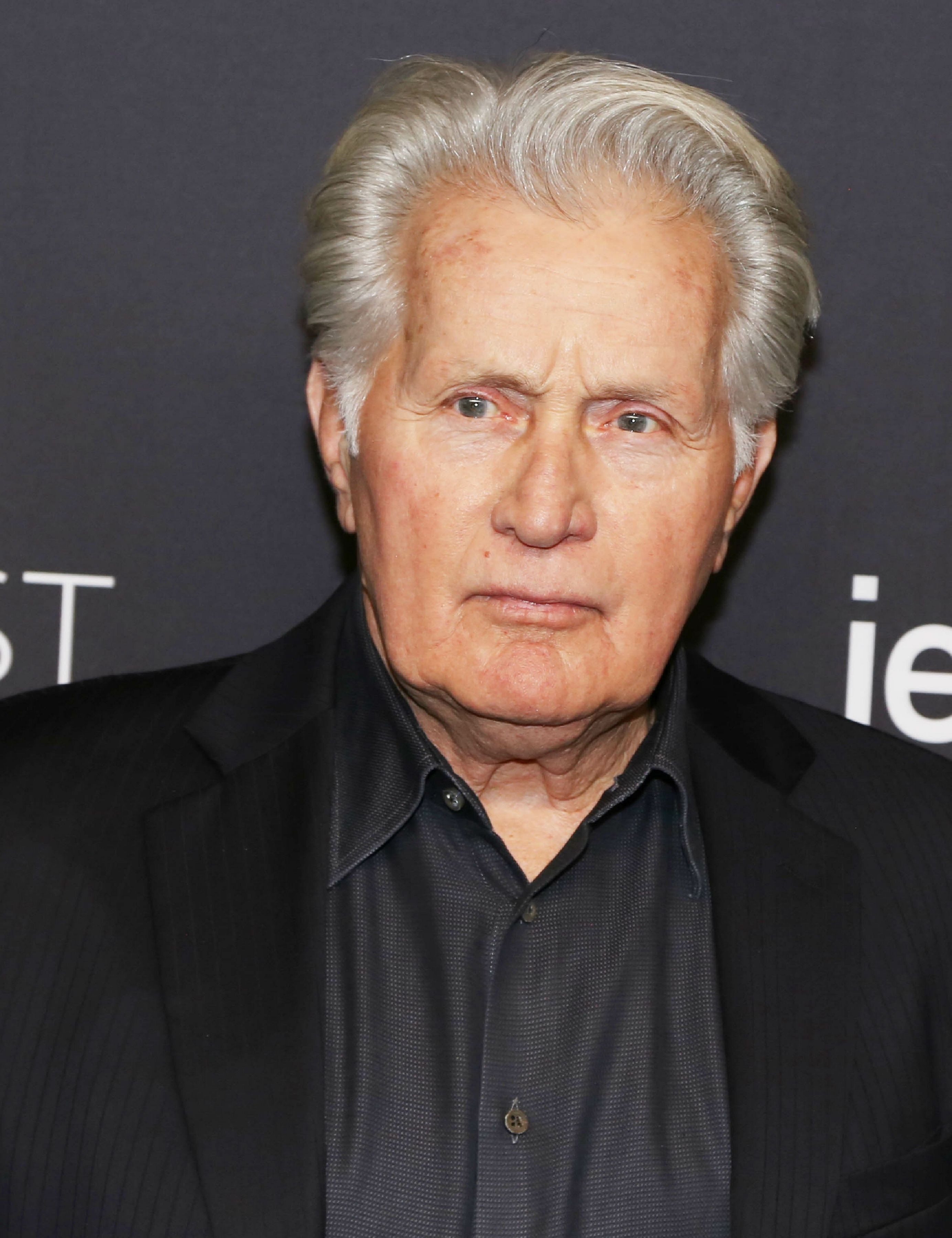 Headshot Of Martin Sheen In The PaleyFest LA