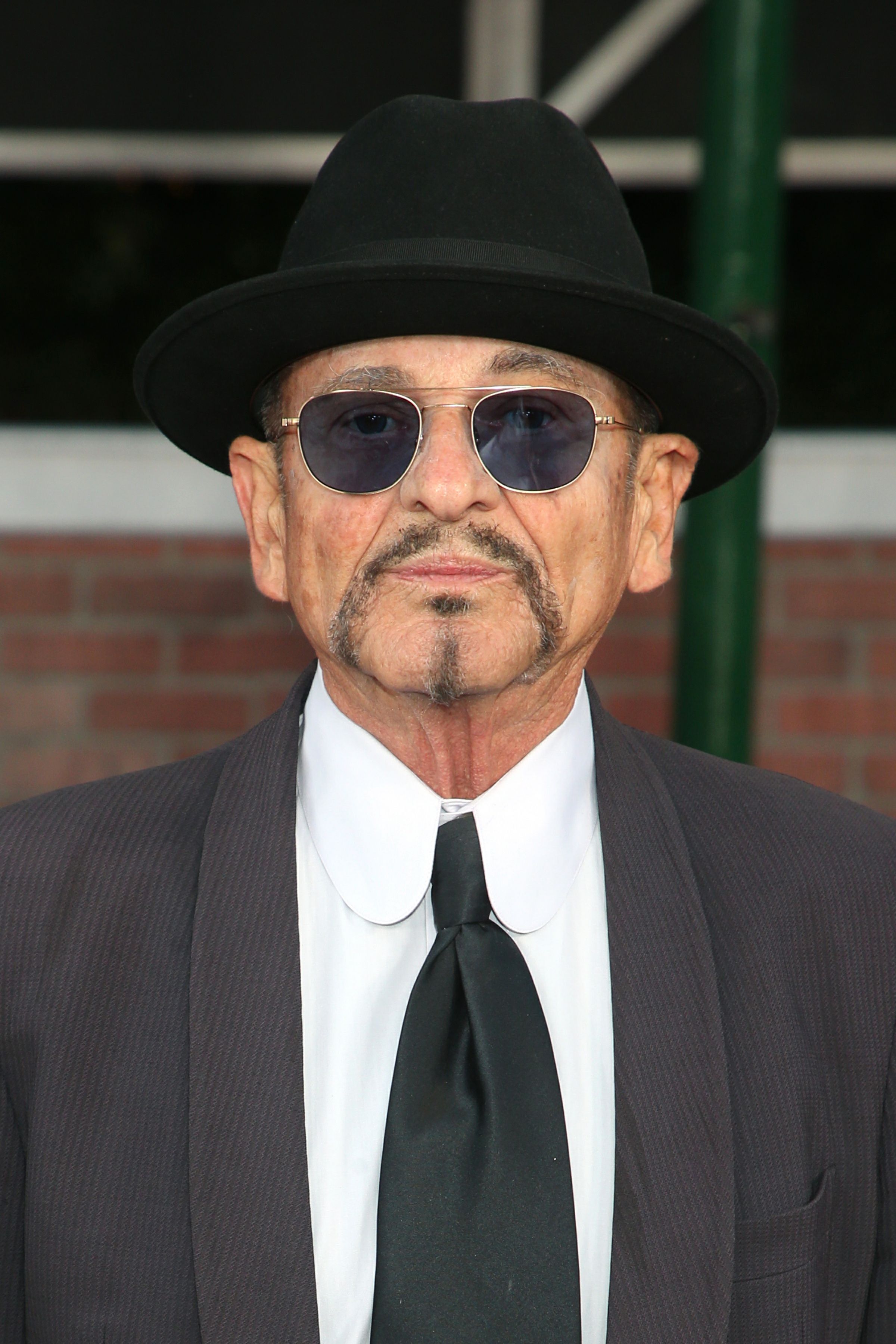 Headshot Of Joe Pesci In The 57th New York film festival