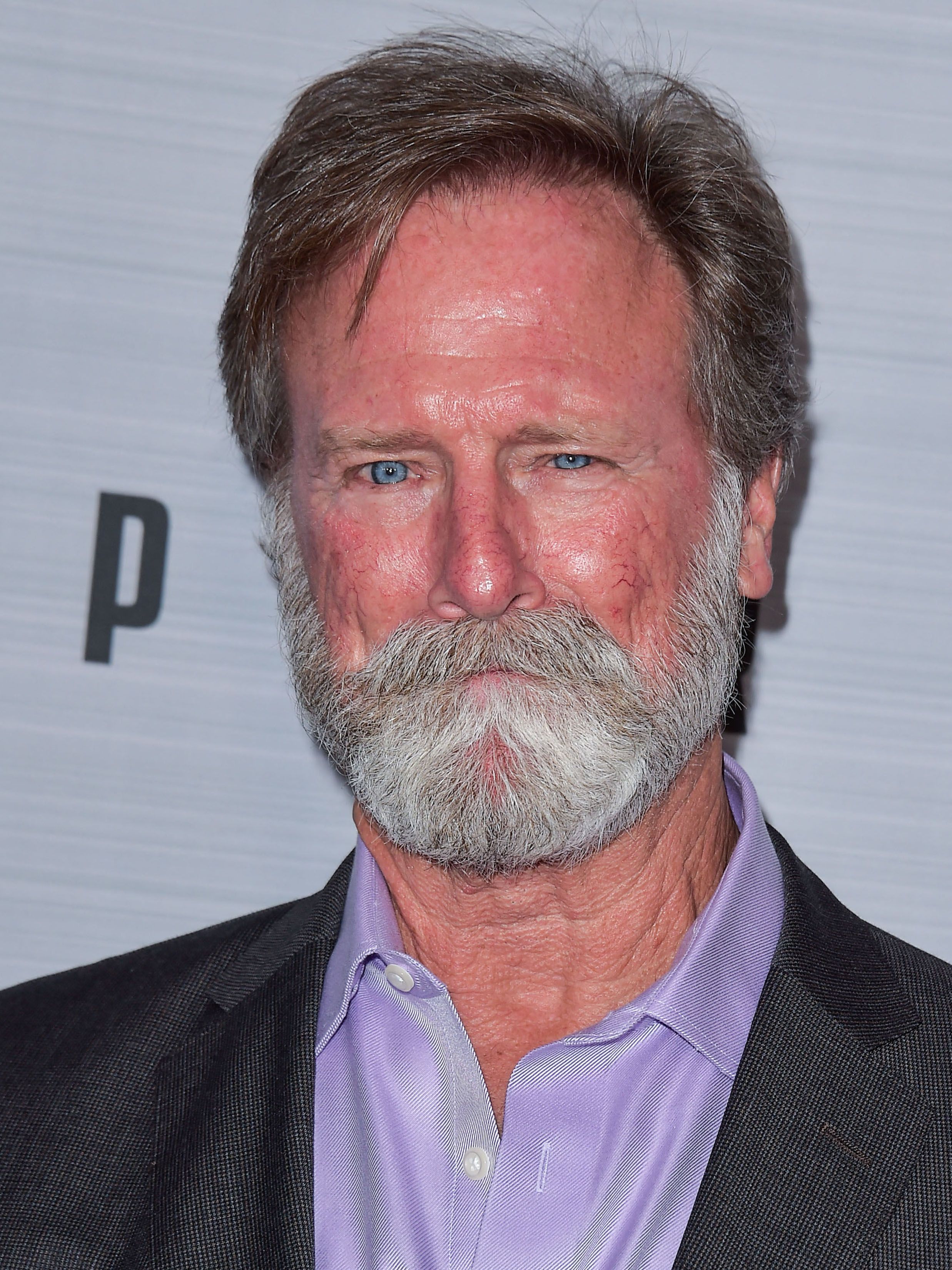 Headshot Of Louis Herthum In The `The Peripheral` LA Premiere