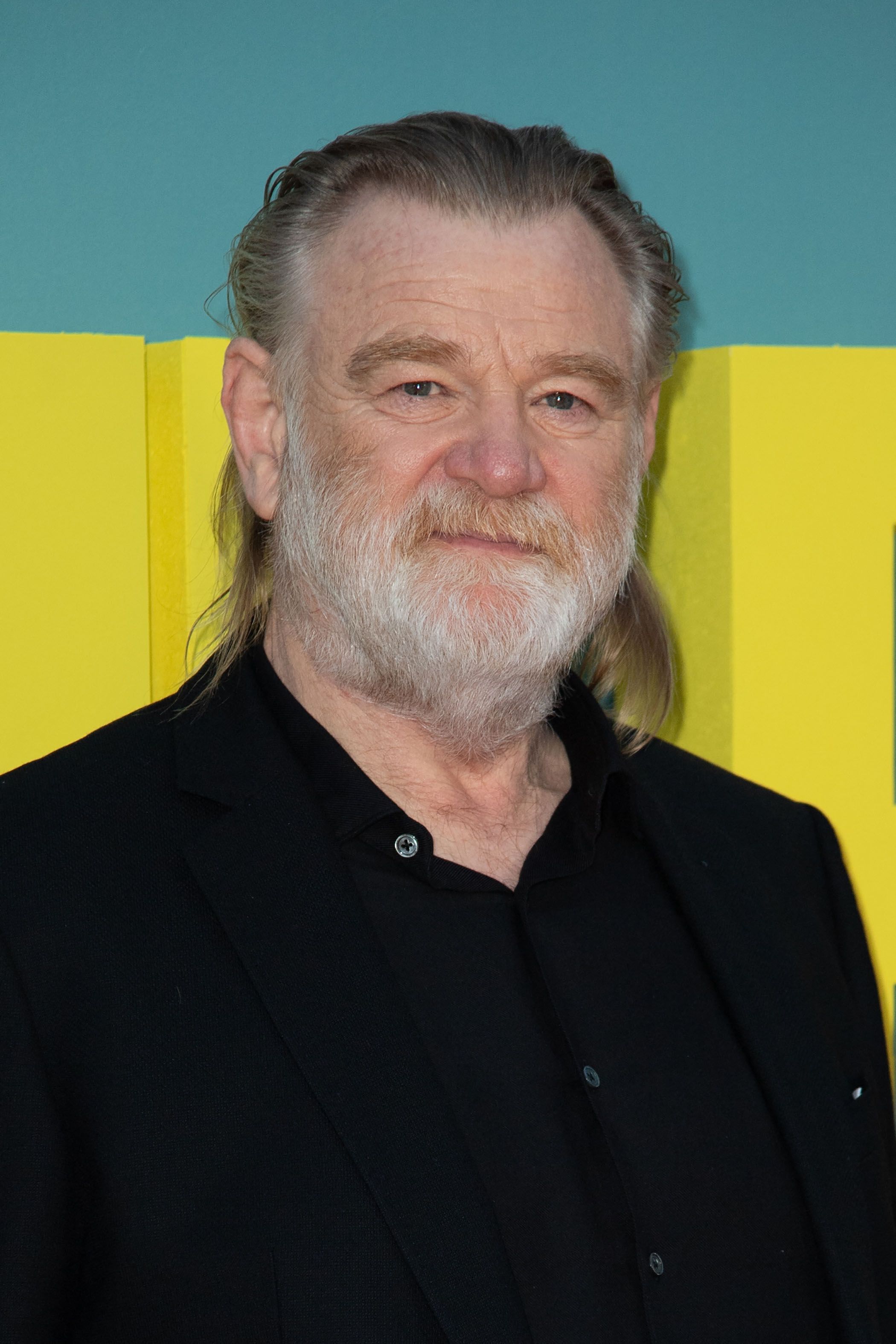 Headshot Of Brendan Gleeson iN The 66th BFI London Film Festival