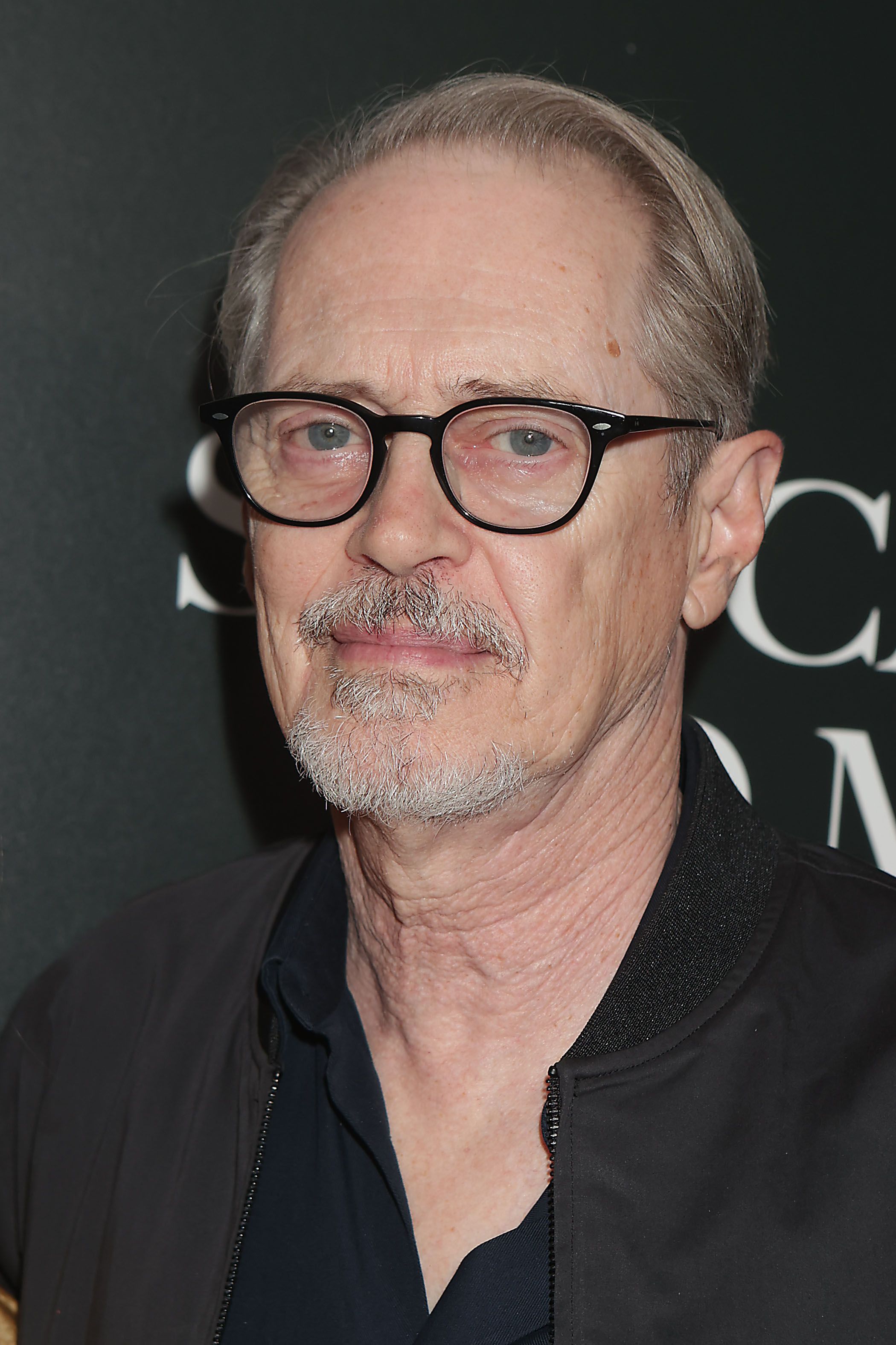 Headshot Of Steve Buscemi In The Vertical's 'She Came To Me' New York special screening 