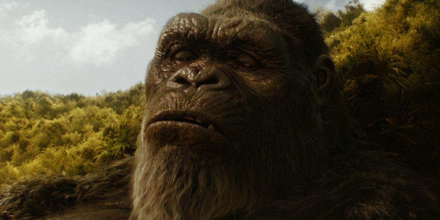 Kong looking tired