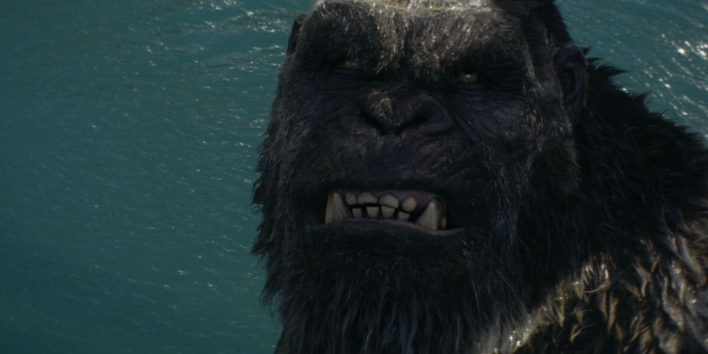 Kong looks scared