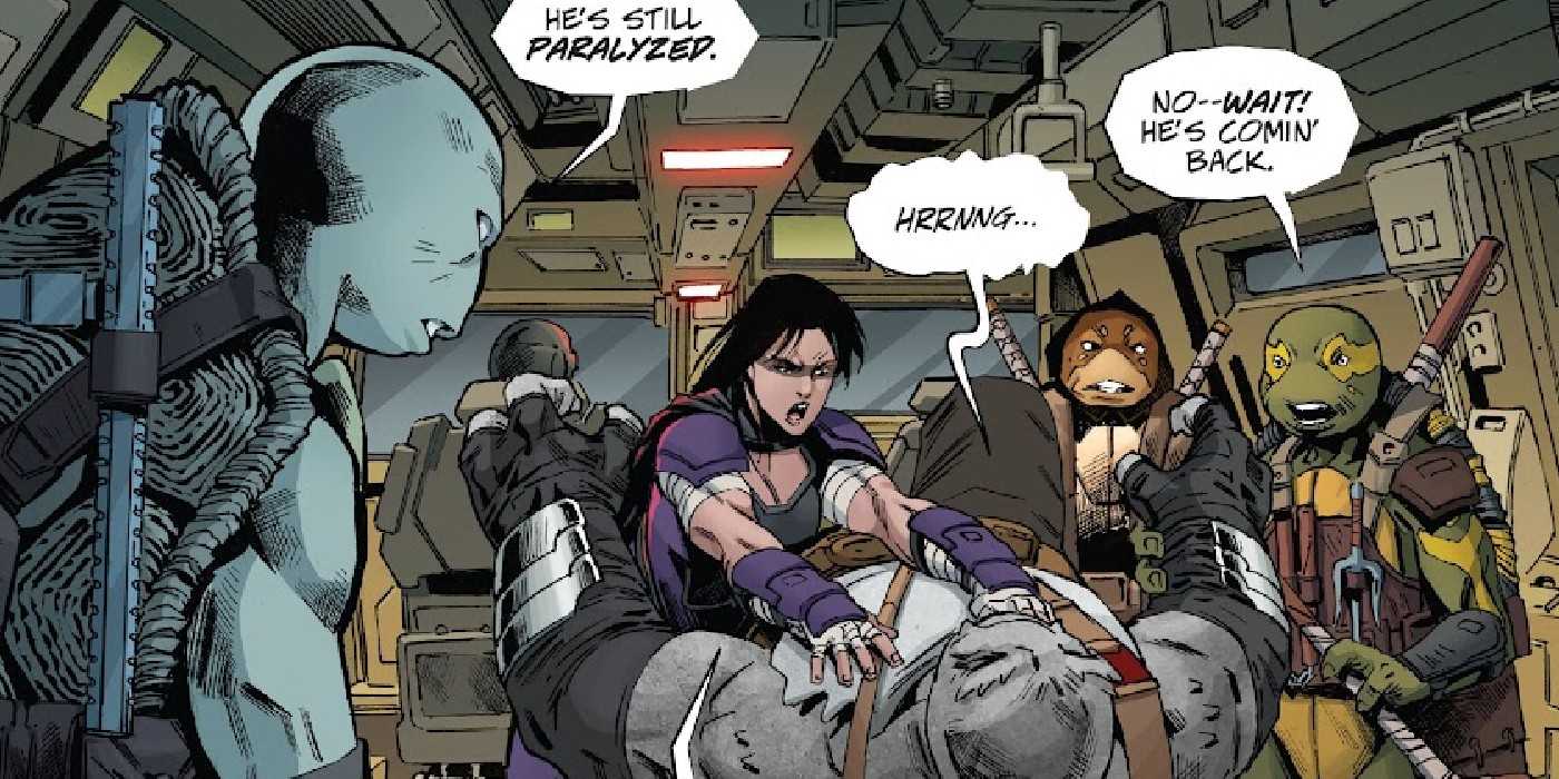 2 Colorful Rocks LAST RONIN: TMNT's New Generation of Turtles Each Have Unique Powers ...