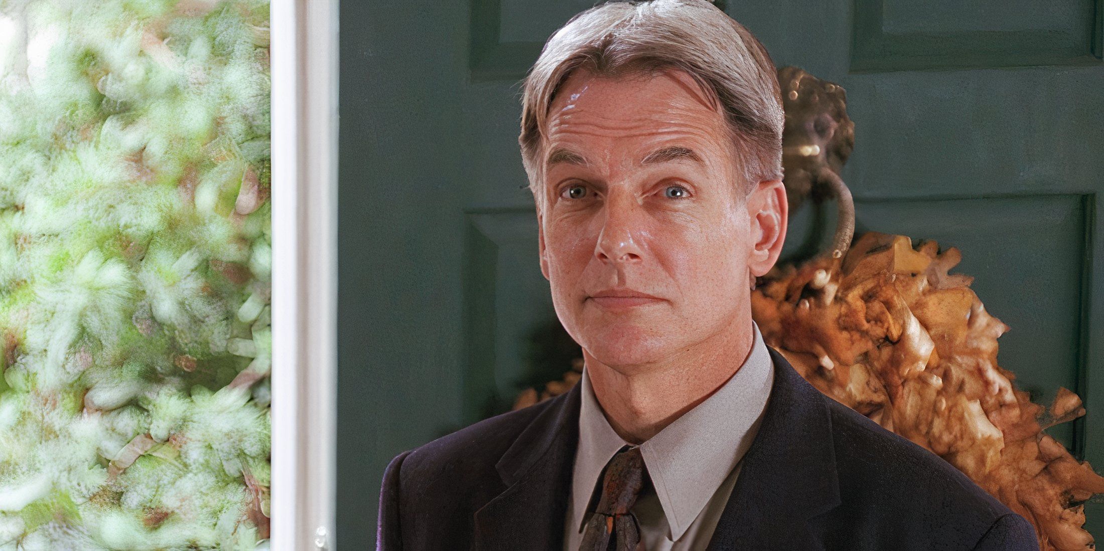 Mark Harmon's Upcoming Role Is What He Needs After 18 Years Of NCIS' Gibbs