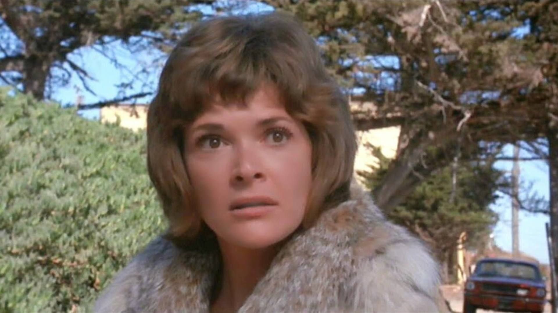 Play Misty For Me Summary, Trailer, Cast, Where to Watch and More