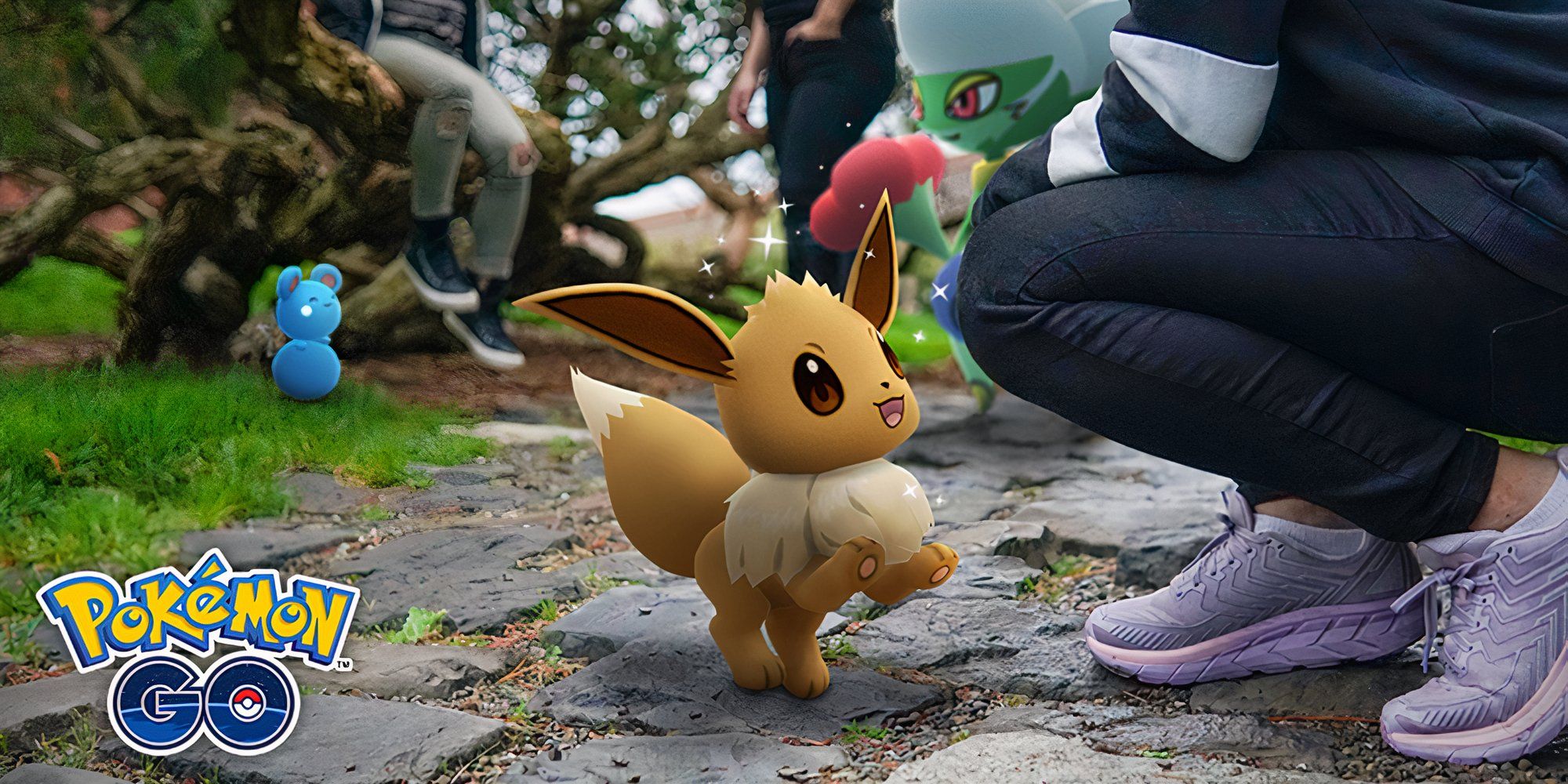 Pokemon TCG: All Eevee & Eeveelution Ex Cards From Prismatic Evolutions,  Ranked