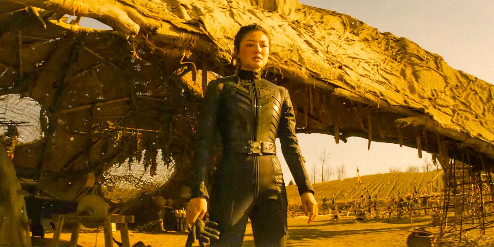 Section 31: Everything We Know About Michelle Yeoh’s Star Trek Movie Team