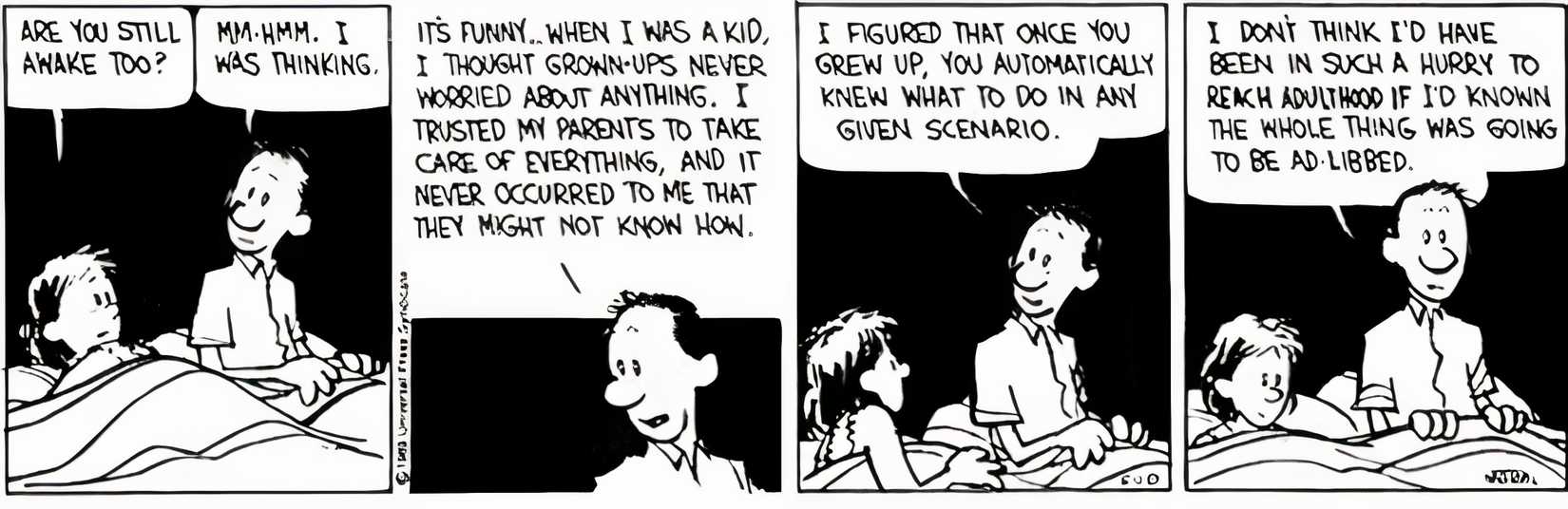 Calvin & Hobbes, Calvin's parents have a late night conversation about how they don't have the answers.
