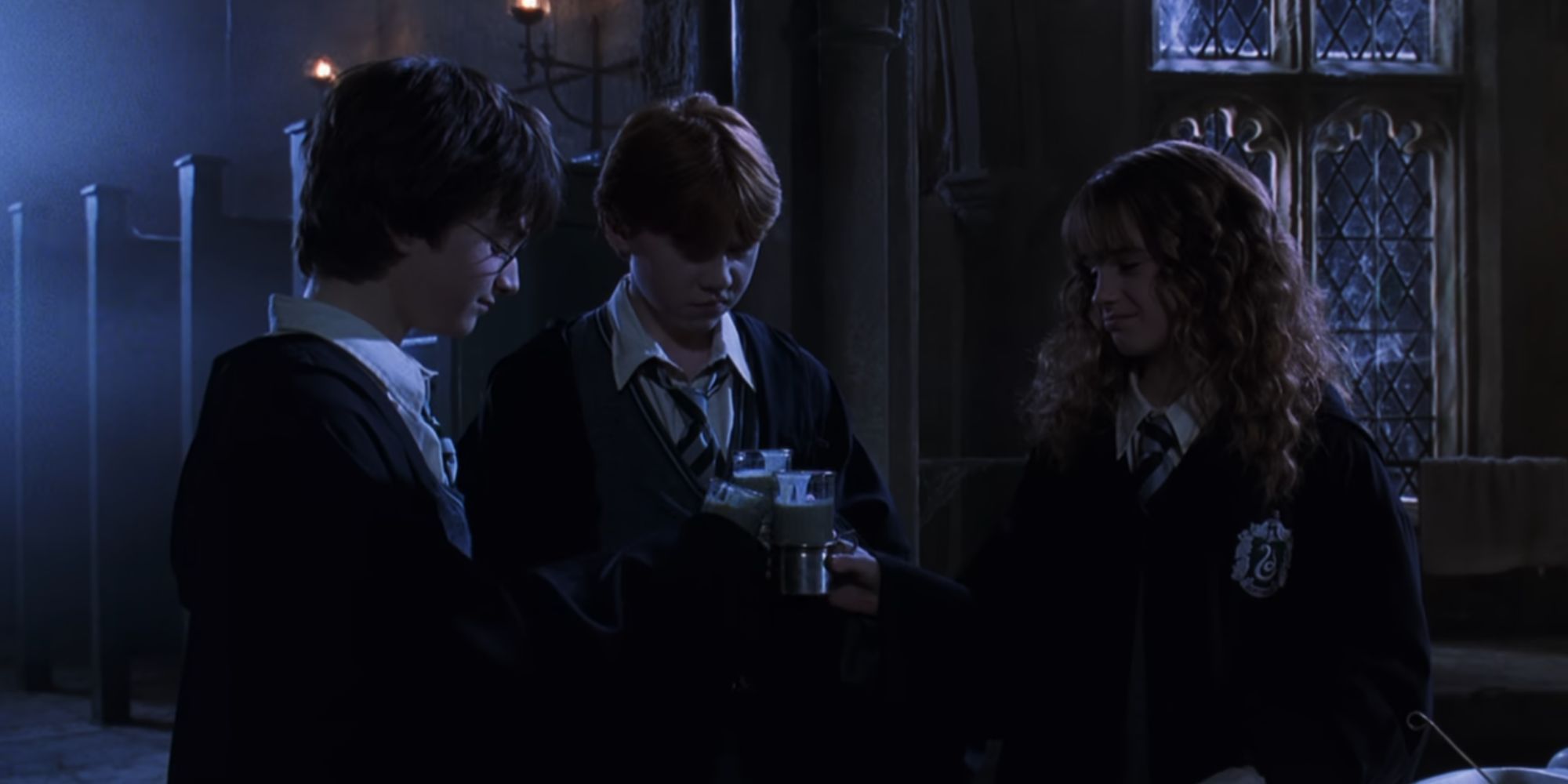 Harry, Ron, and Hermione all about the drink the Polyjuice Potion in Harry Potter and the Chamber of Secrets