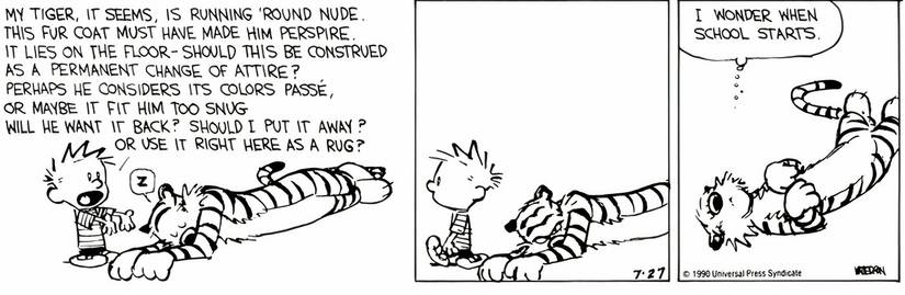 10 Funniest Calvin and Hobbes Comics That Just Turned 30 (In July 2024)