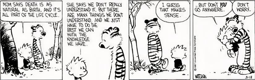 Calvin and Hobbes discussing the concept of death.
