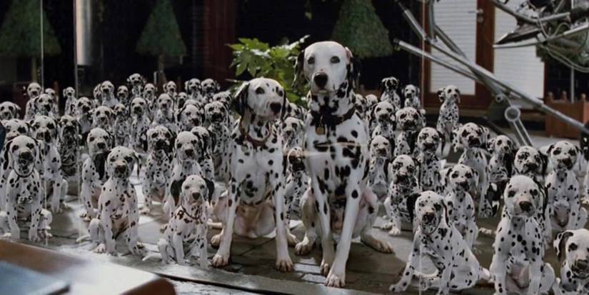 7 Book-To-Movie Adaptations With Unmade Sequels You Had No Idea Existed