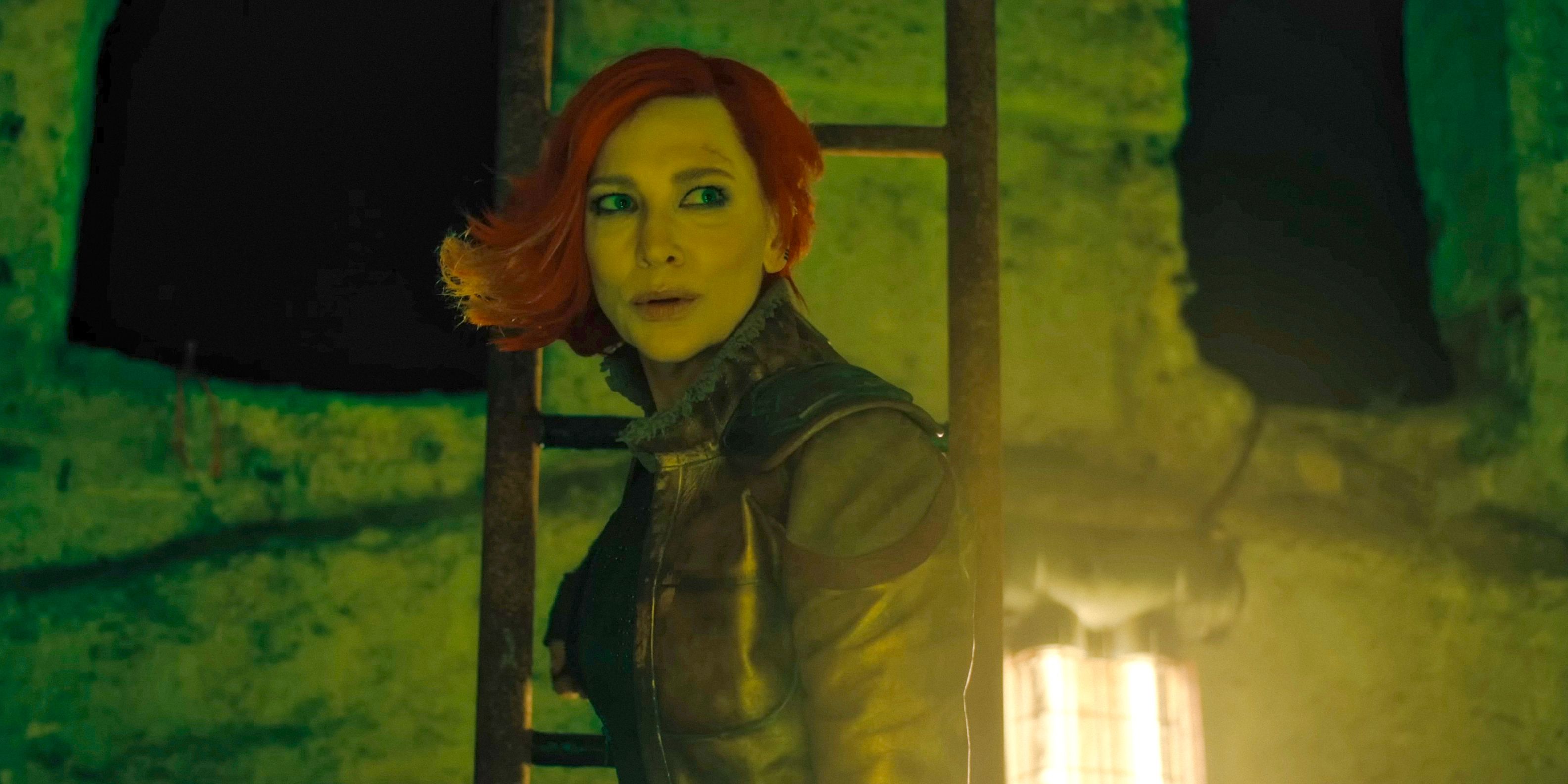 Cate Blanchett's Borderlands Disaster Shouldn't Sting For Too Long